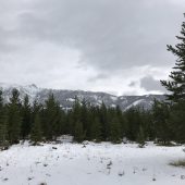 2018 GMC Terrain Denali Test Drive: Touring Yellowstone in Style