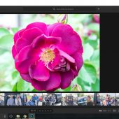 Adobe's New Lightroom CC Cloud-Based Editor Review
