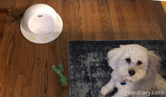 Nava Meets the CleverPet, and She's One Happy Pup!