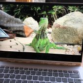 Lenovo Yoga 920 2-in-1: The Best of All Worlds