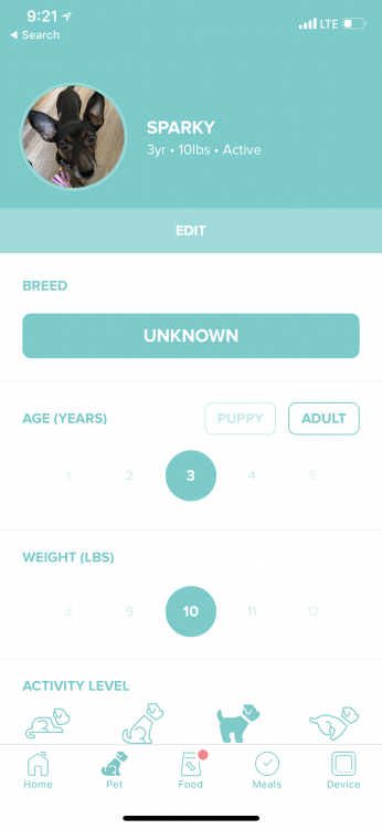 Petnet SmartFeeder: Feed Your Four-Legged Friend from Anywhere