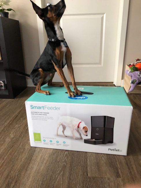 Petnet SmartFeeder: Feed Your Four-Legged Friend from Anywhere
