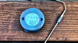 ThermoWorks BlueDOT Review: It Will Send Your BBQ Over the Top This Summer