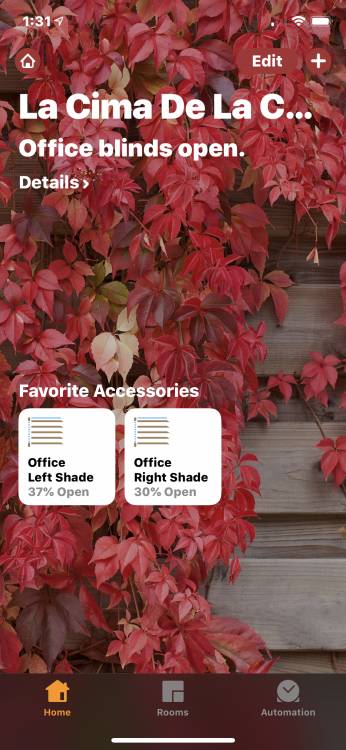 Lutron Serena Shades: Wireless, Smart, and Custom-Made