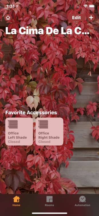 Lutron Serena Shades: Wireless, Smart, and Custom-Made