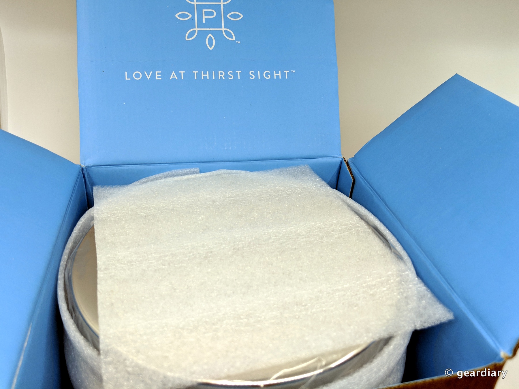 The Pure Company Carbon Filter Water Decanter Review