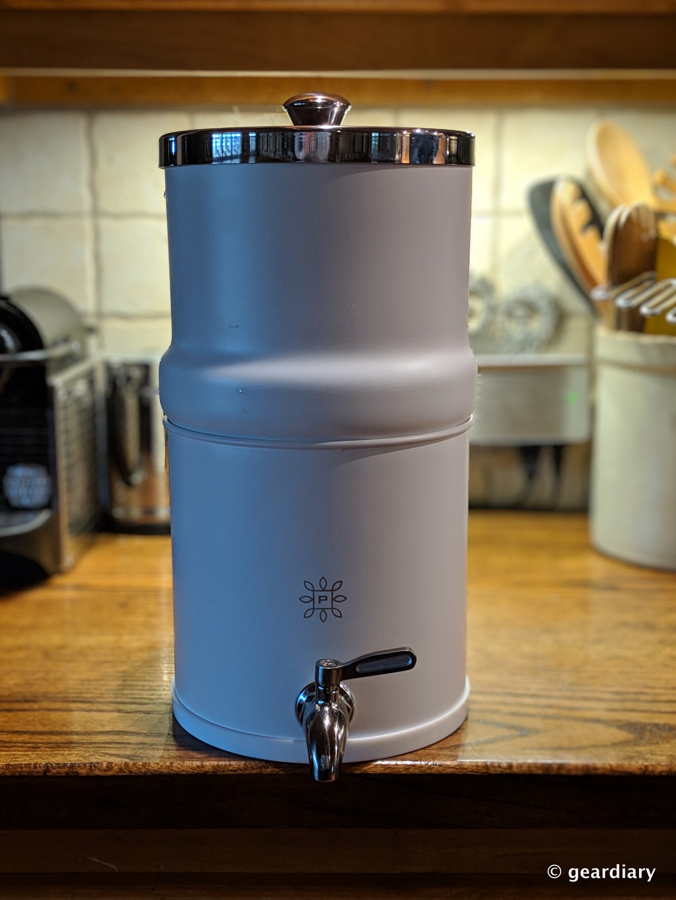 The Pure Company Carbon Filter Water Decanter Review