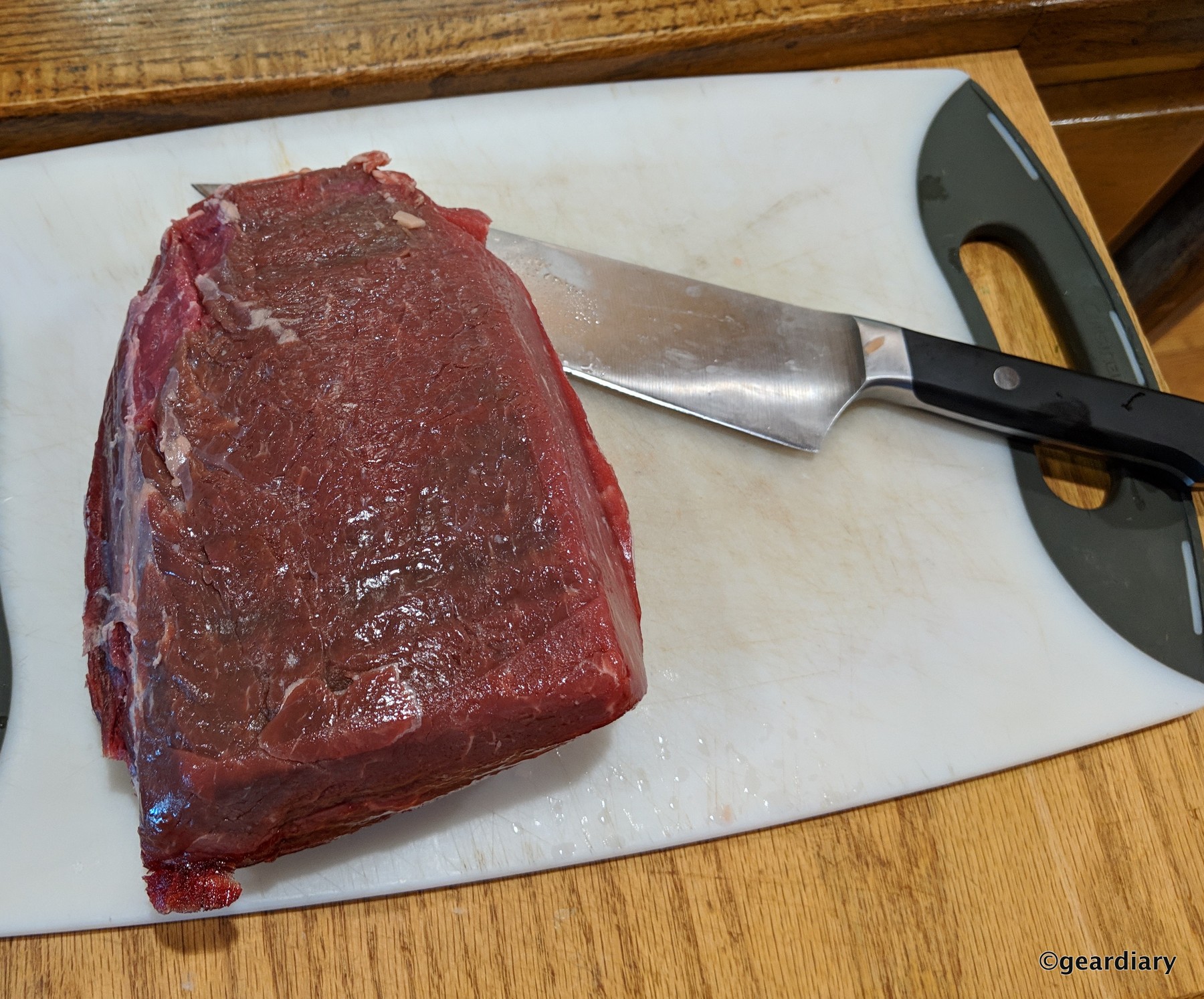 Making Beef Jerky at Home with the Gourmia GFD 1950 9Tray Dehydrator