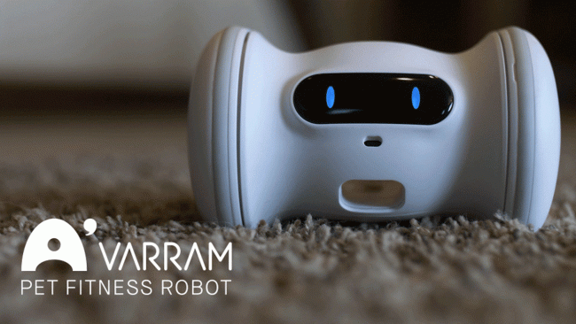 Sparky’s Scared of the Varram Pet Fitness Robot