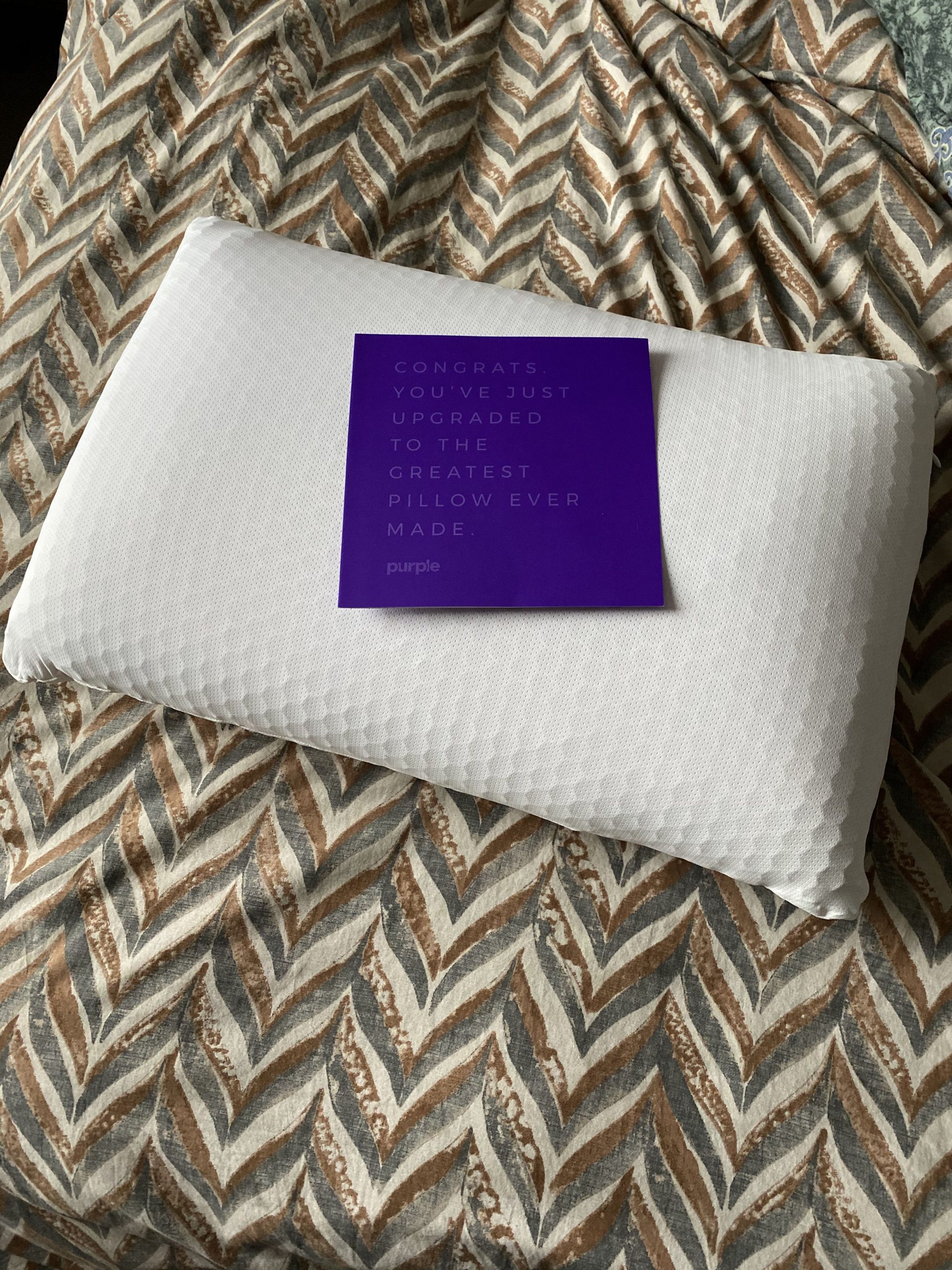 purple harmony pillow low