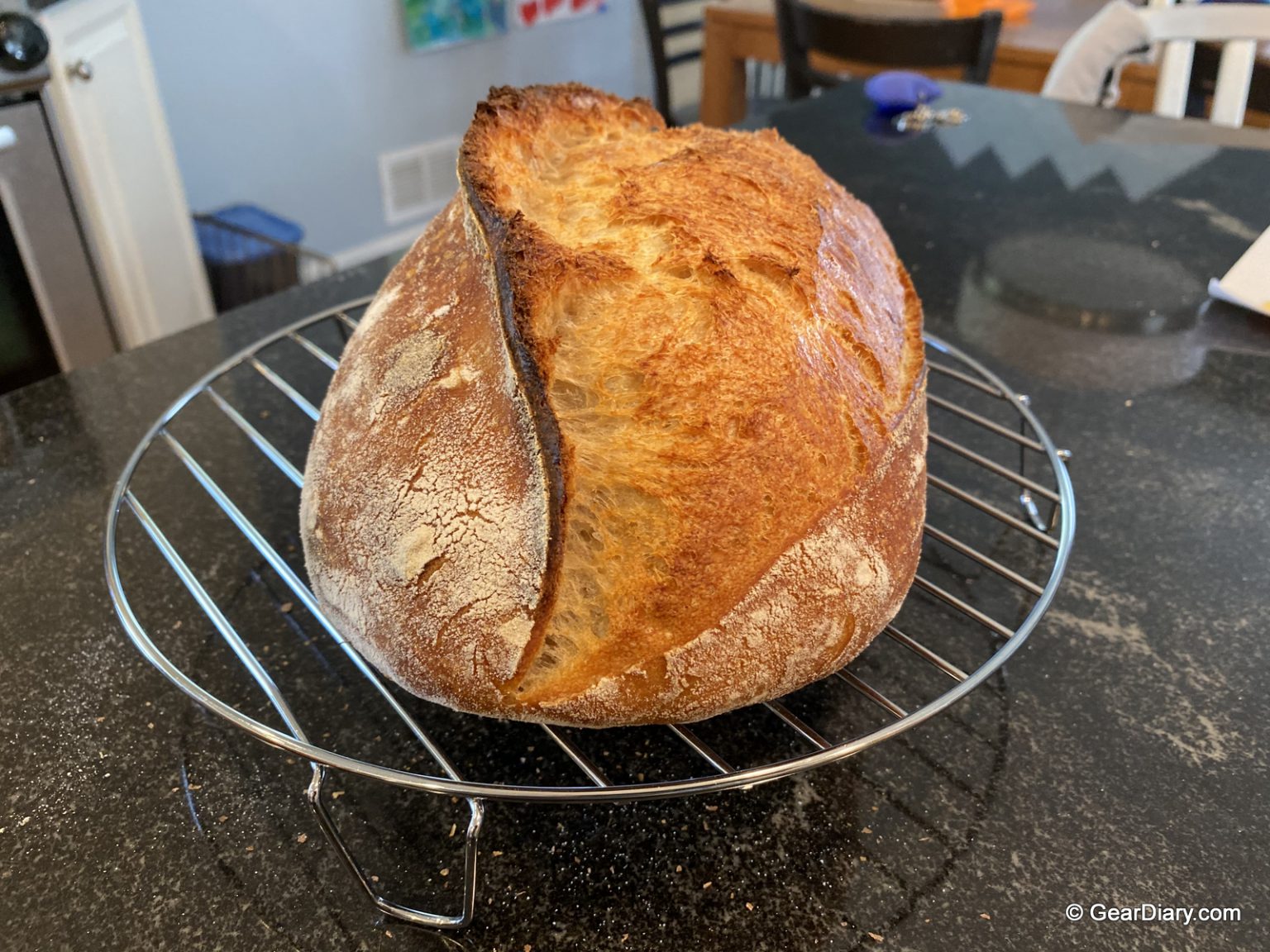 The Sourdough Revolution A Beginner's Sourdough Recipe and a Review of