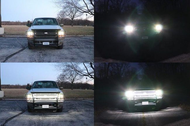 There's a New Lighting System That Will Help Deer Avoid Vehicles at Night