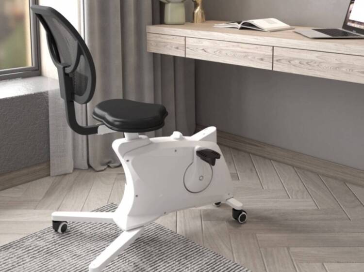 Flexispot Sit2Go 2-in-1 Fitness Chair