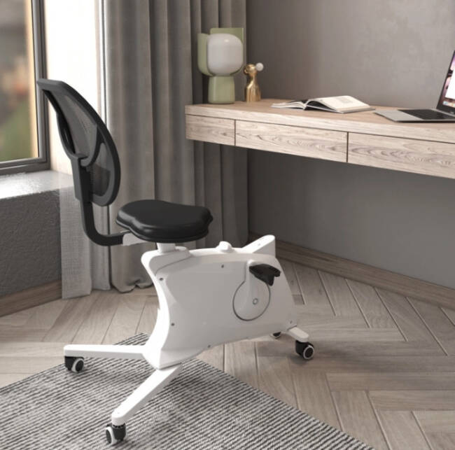 Flexispot Sit2Go 2-in-1 Fitness Chair at a desk