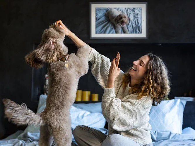 Lenovo Smart Frame Gets Even More Impressive with Great New Features