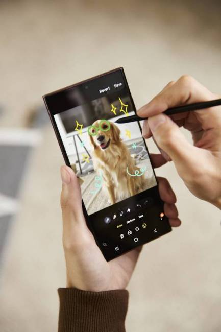 A person doodles on a picture of their dog showing on the Samsung Galaxy S22 Ultra's display, using the S Pen.