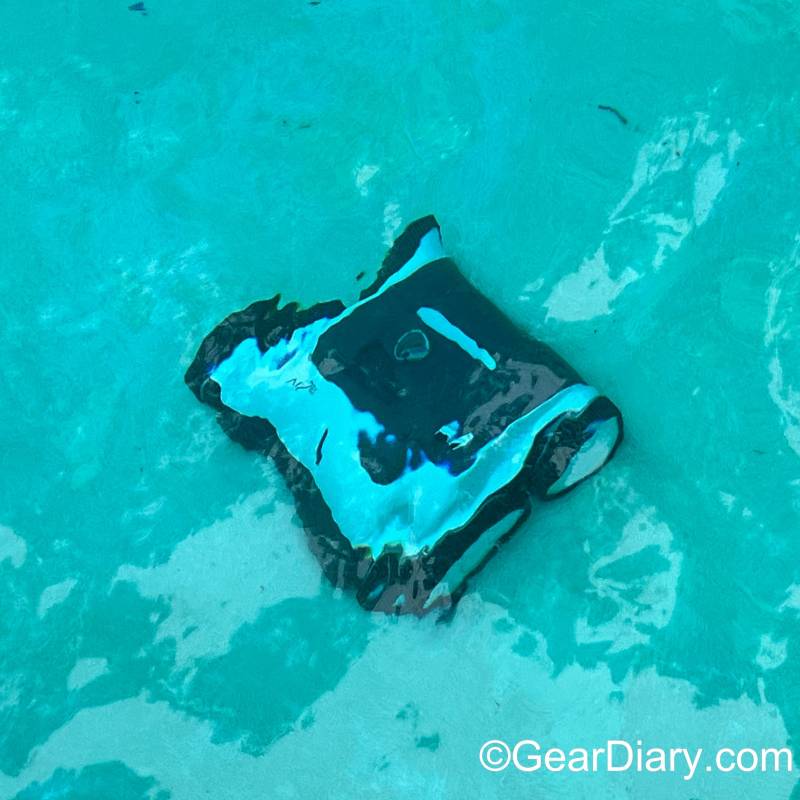 Aiper Seagull 1500 Cordless Robotic Pool Cleaner on the bottom of the author's pool