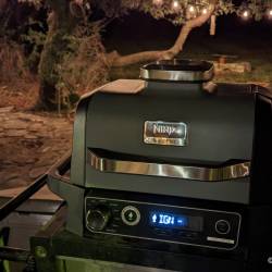 Ninja Woodfire Outdoor Grill Review: A Compact Cooker That Can Do It All, with Smoke!