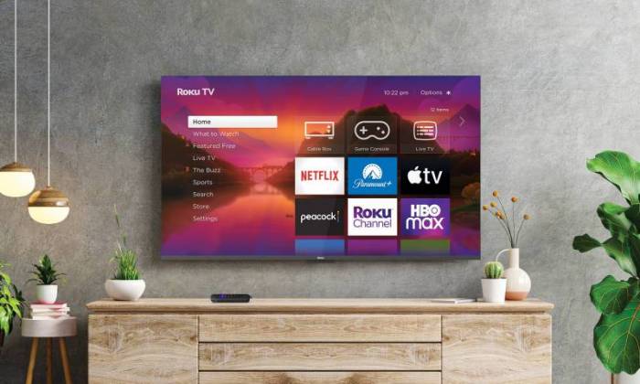 A Roku-made TV hangs on a gray wall; on the television's display is the Roku home screen.