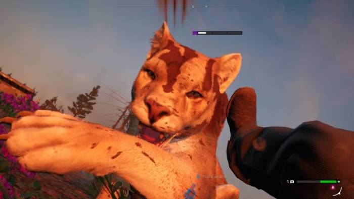 Far Cry New Dawn Review: Get Chipotle Instead