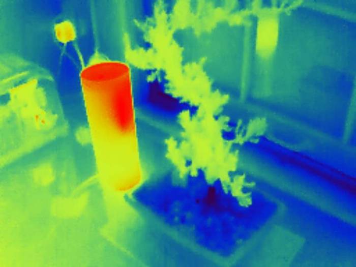 InfiRay P2 Pro Thermal Camera (for IOS) Review: Tiny but Powerful