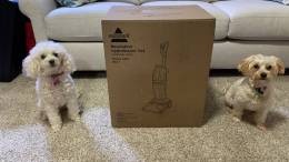 Bissell Revolution HydroSteam Pet Review: The Cutting-Edge Carpet Cleaning Vacuum for Pet Owners