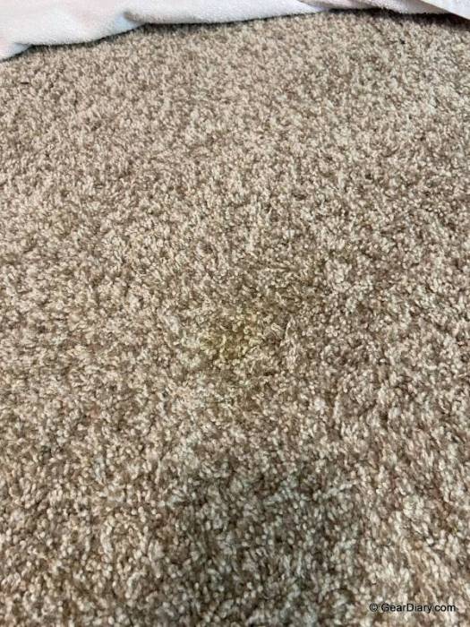 Bissell Revolution HydroSteam Pet Review: The Cutting-Edge Carpet Cleaning Vacuum for Pet Owners
