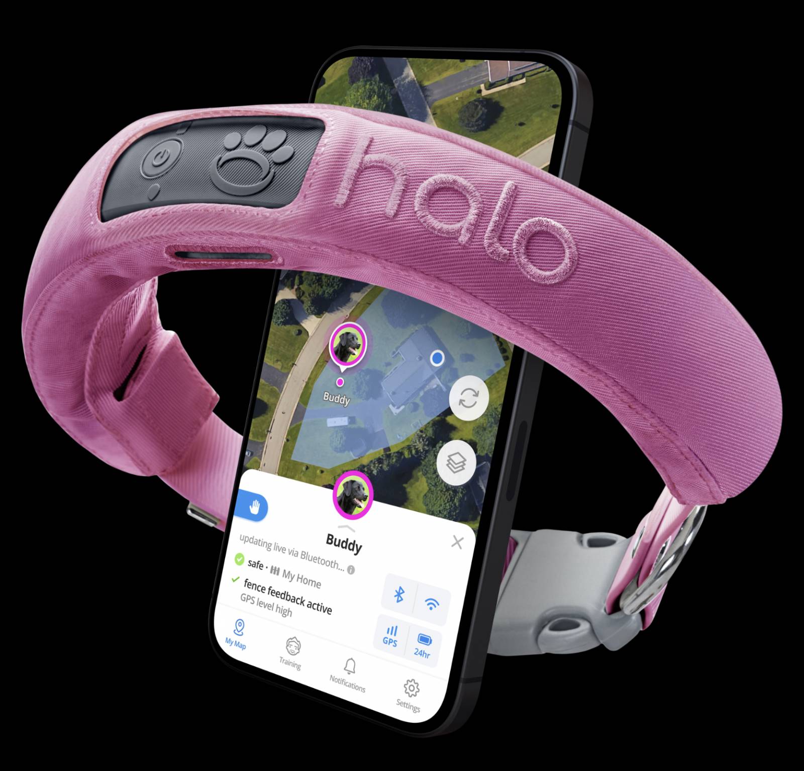 The Halo Collar 3 Is an AI-Driven GPS Dog Fence That Will Help Train Your Canine Not to Roam