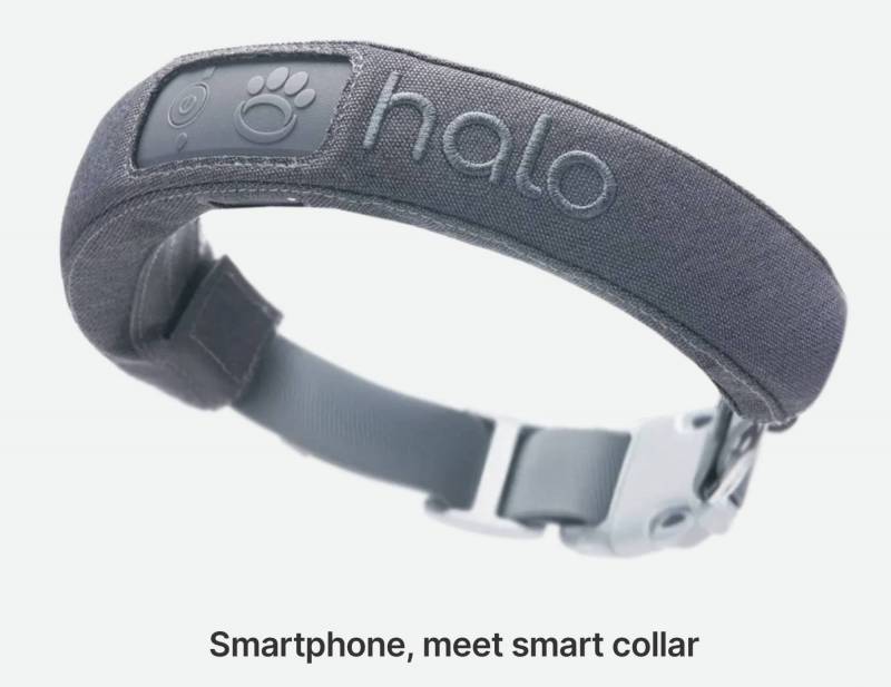 The Halo Collar 3