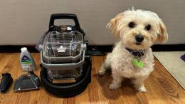 Bissell Little Green HydroSteam Pet Review: A Portable Steam Cleaner That's Great for Smaller Cleanups