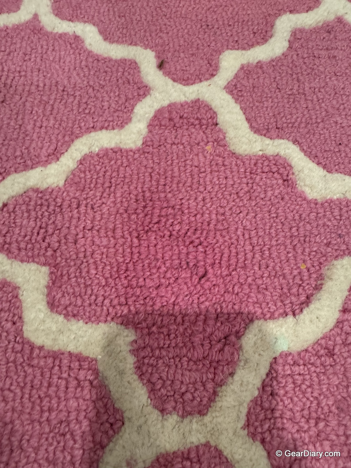 The rug after cleaning with the Bissell Little Green HydroSteam Pet