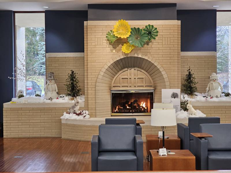 A fireplace is located in a library.