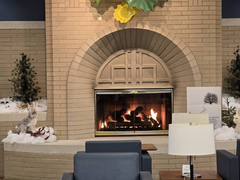 A fireplace is located in a library.