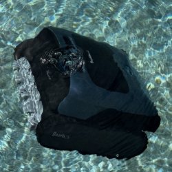 Beatbot Aquasense Pro submerging into the pool.