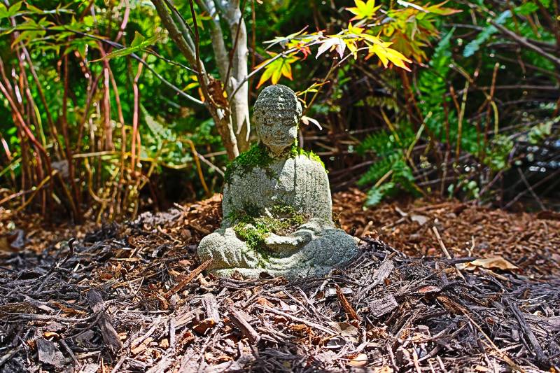 Photo of a Buddha in a garden taken with the Canon EOS R50