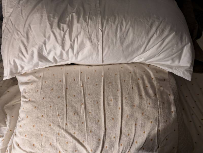 The Butterfly Sleep Pillow on the author's bed.