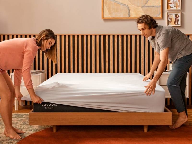 Sealy Sleep Bundle