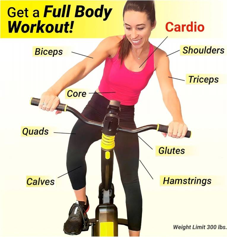 Stealth Cycle