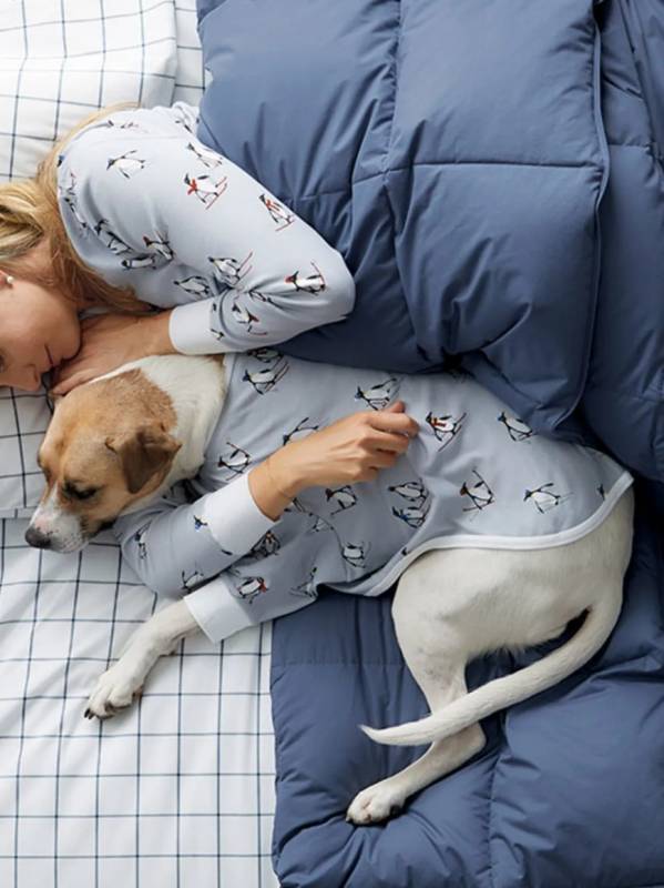 The Company Store LaCrosse RDS-Certified Down Comforter