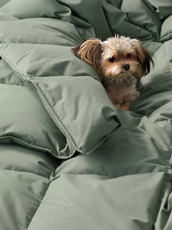 The Company Store LaCrosse RDS-Certified Down Comforter