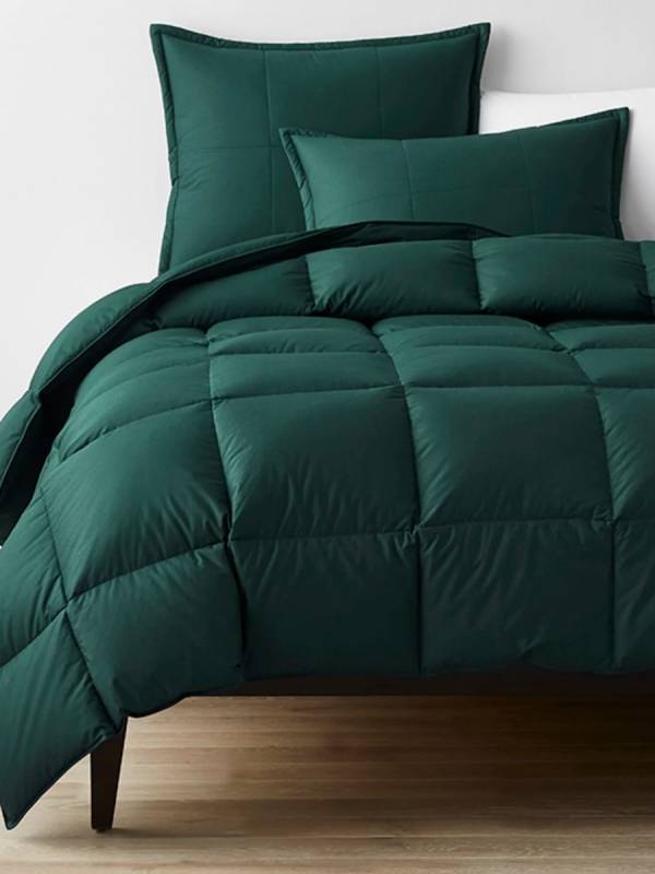 The Company Store LaCrosse RDS-Certified Down Comforter