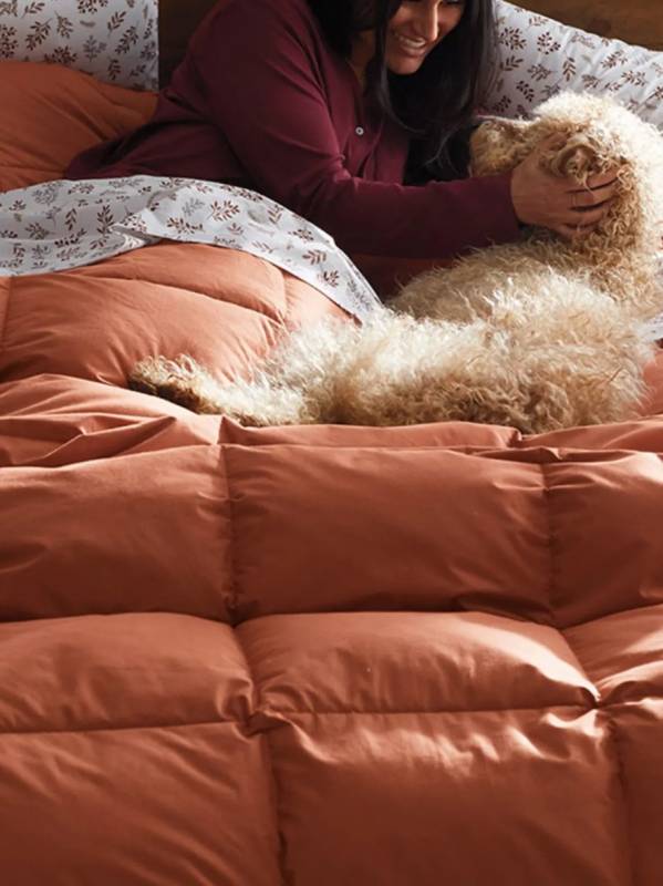 The Company Store LaCrosse RDS-Certified Down Comforter