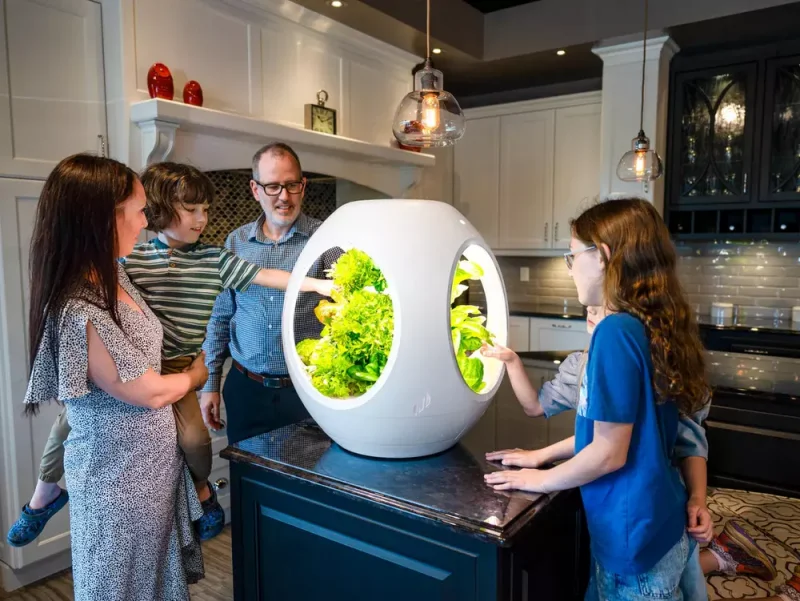 Family looking at the plants growing inside the Plantaform Smart Indoor Garden