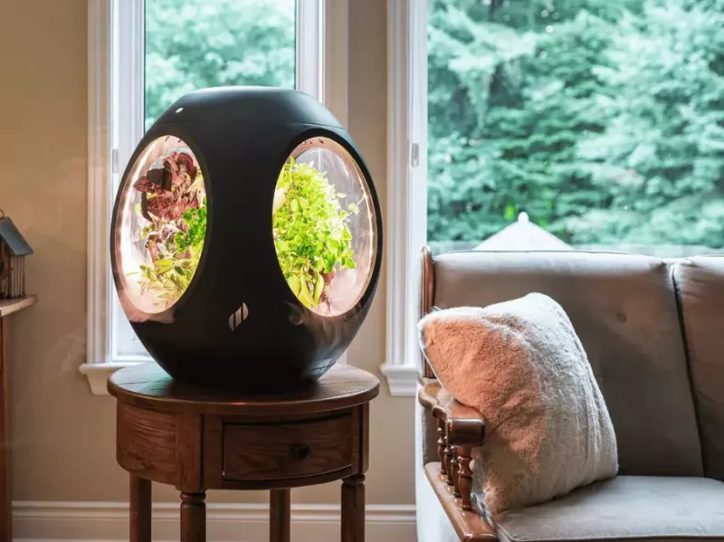 Plantaform Smart Indoor Garden in a living room setting.