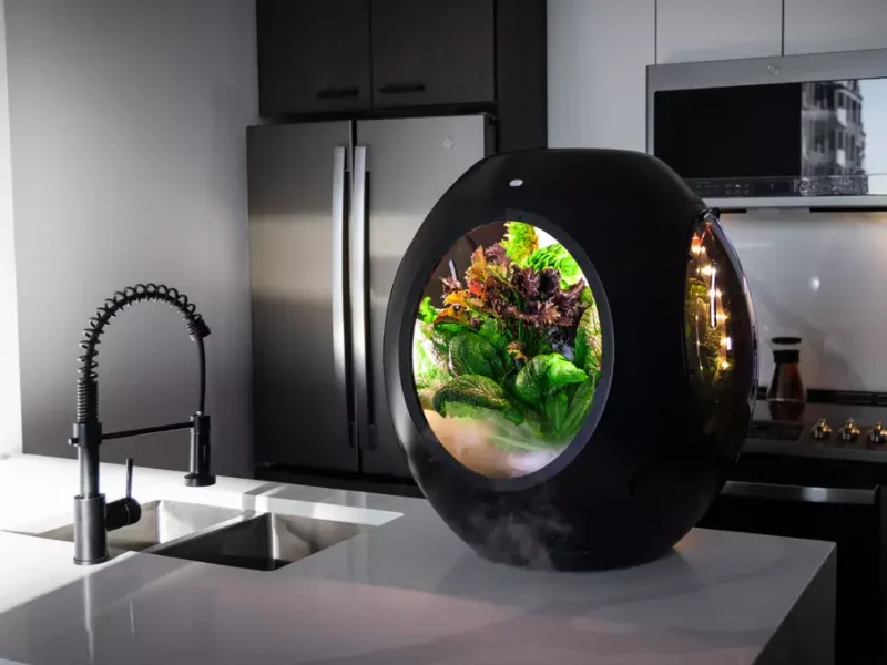 Fogponics working in the Plantaform Smart Indoor Garden