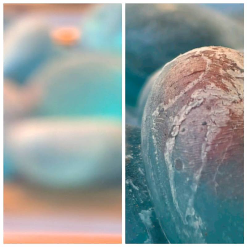 Photo taken by the Pixel 8 Pro on the left and the vivo X200 Pro on the right.