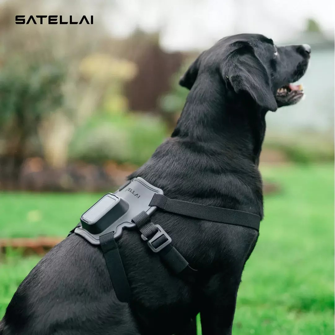 SATELLAI Tracker