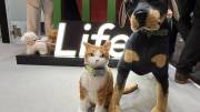 uCloudlink GlocalMe Pet Smartphone