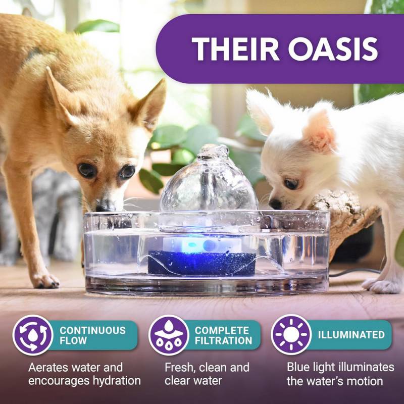 Brook All-Glass Pet Fountain