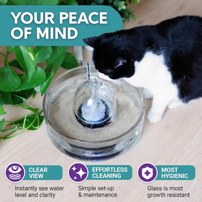 Brook All-Glass Pet Fountain